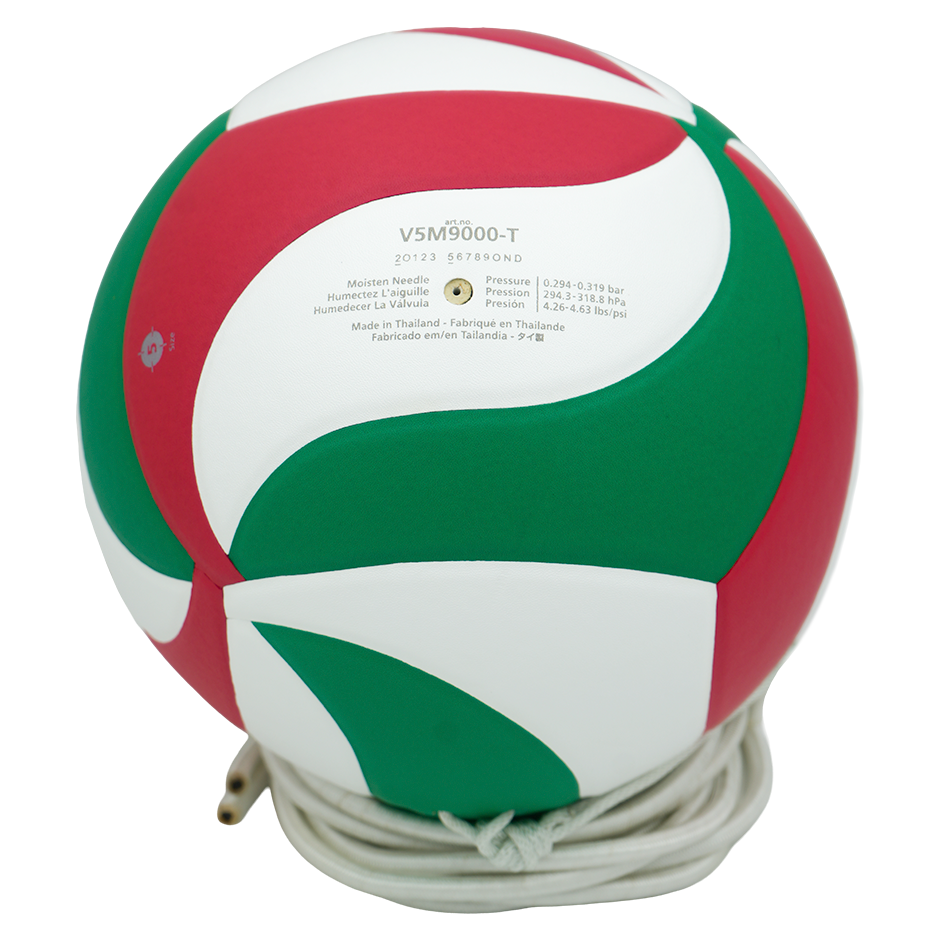 Balón Voleibol Molten V5M9000
