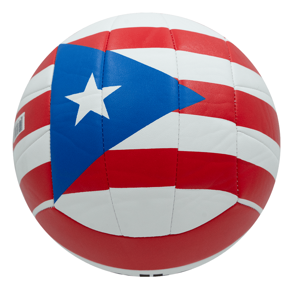 Balón de Voleibol Molten MS - 500 - MS500-PRFLBalón de Voleibol