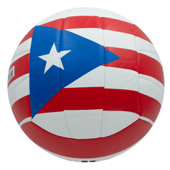 Balón de Voleibol Molten MS - 500 - MS500-PRFLBalón de Voleibol