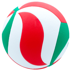 Balón de Voleibol Molten V5M4200 - V5M4200Balón de Voleibol