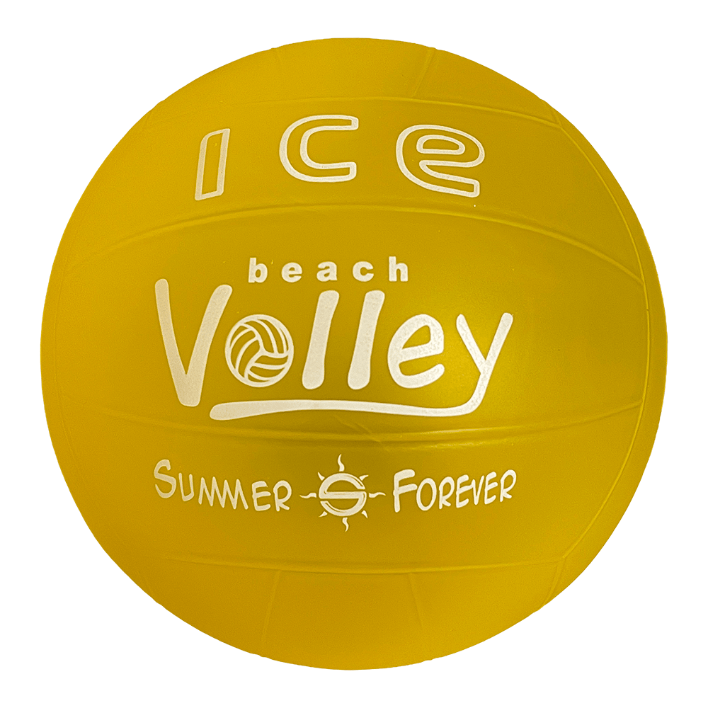 Pelota de Fundamentación Voleibol Miyagi PVC 8.5 - PVC8.5 AMApelotas de fundamentación
