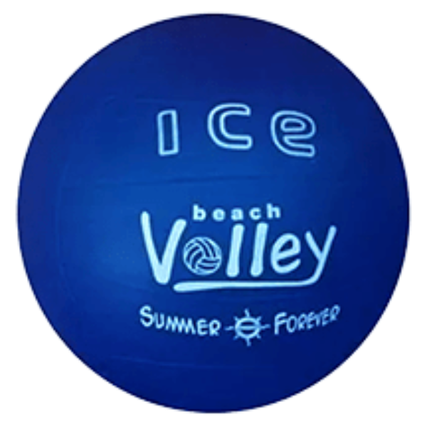 Pelota de Fundamentación Voleibol Miyagi PVC 8.5 - PVC8.5 AZUL