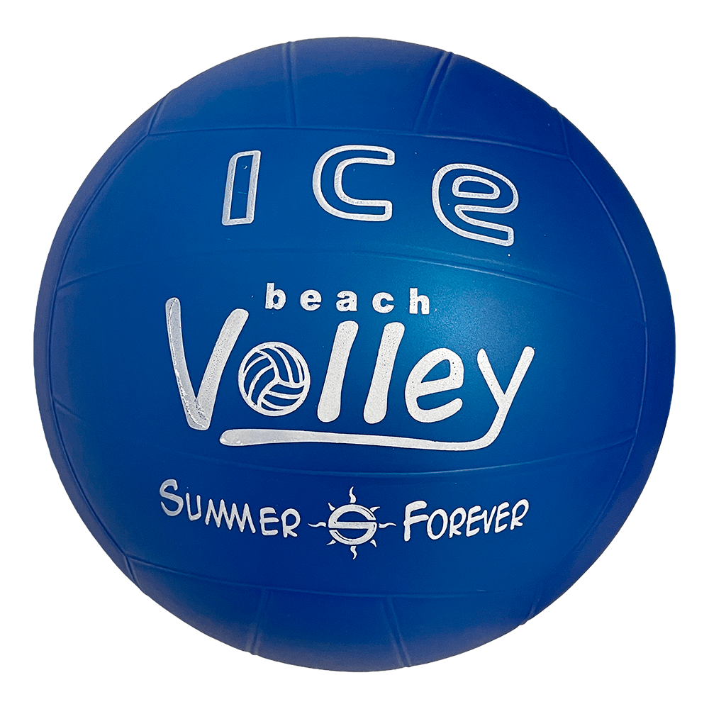 Pelota de Fundamentación Voleibol Miyagi PVC 8.5 - PVC8.5 AZULpelotas de fundamentación