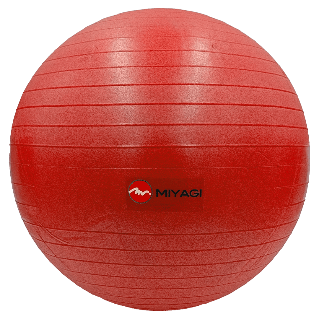 Pelota Pilates Miyagi MW1020 - MW1020 - RD - 65Fitness