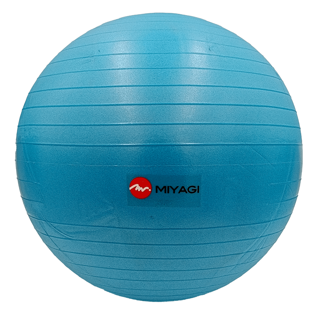 Pelota Pilates MIYAGI Oficial Original Azul Gimnasio Fitness Terapia Colombia Rehabilitacion Dismovel