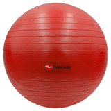 Pelota Pilates MIYAGI Oficial Original Rojo Gimnasio Fitness Terapia Colombia Rehabilitacion Dismovel